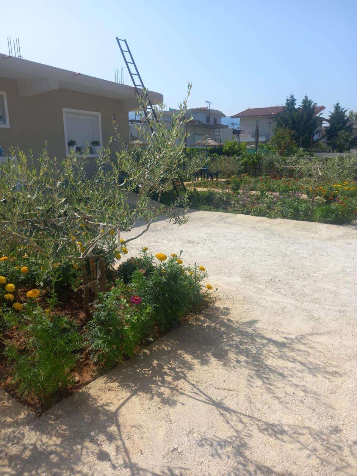 Rey Garden 2 호텔 Vlorë 외부 사진