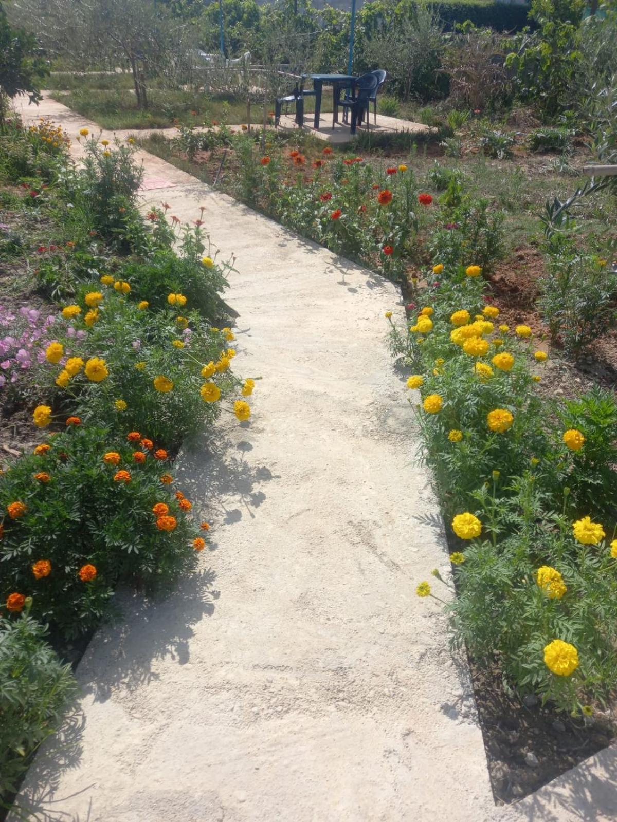 Rey Garden 2 호텔 Vlorë 외부 사진